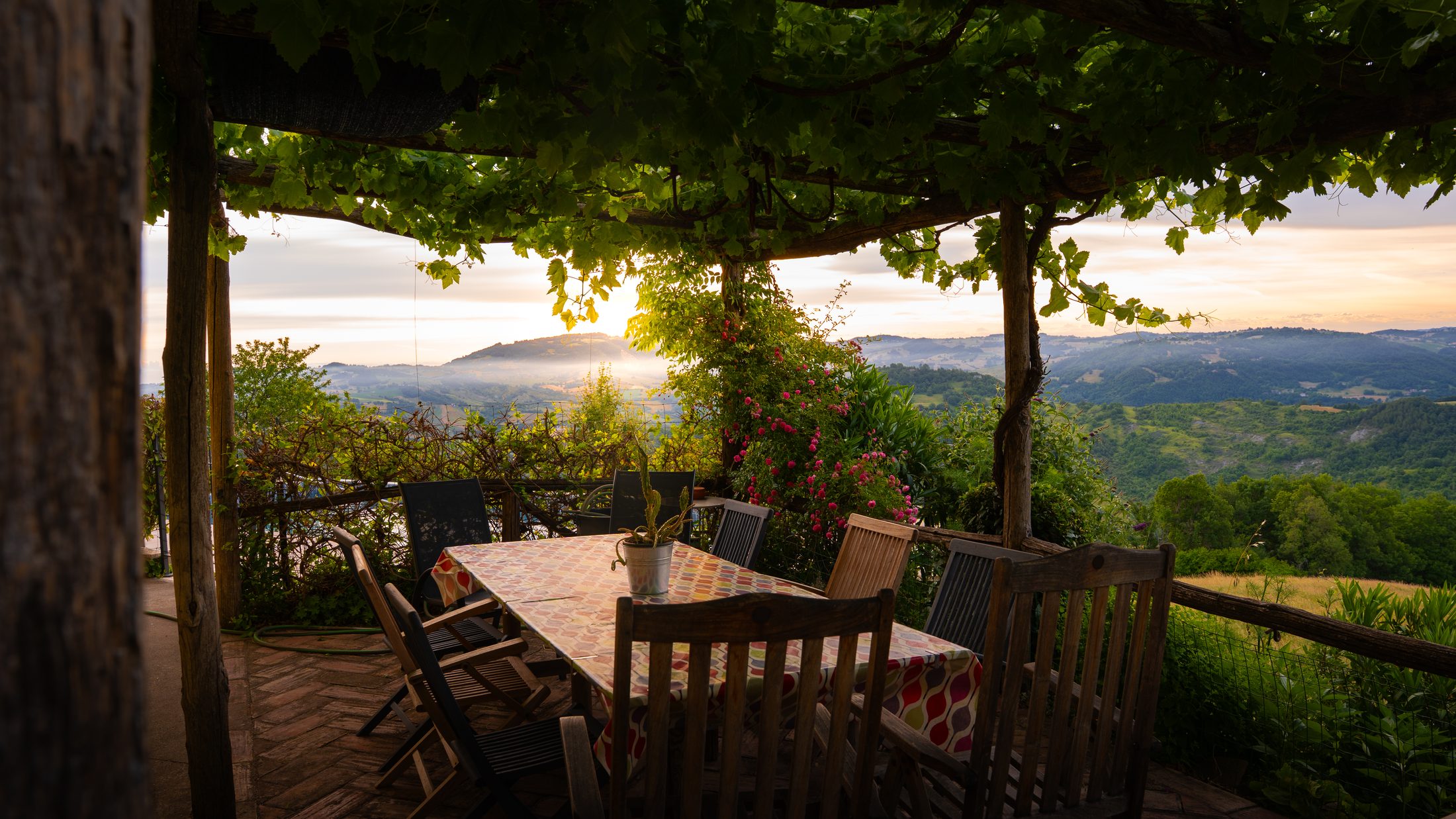 Breakfast on the grapevine-covered terrace at sunrise