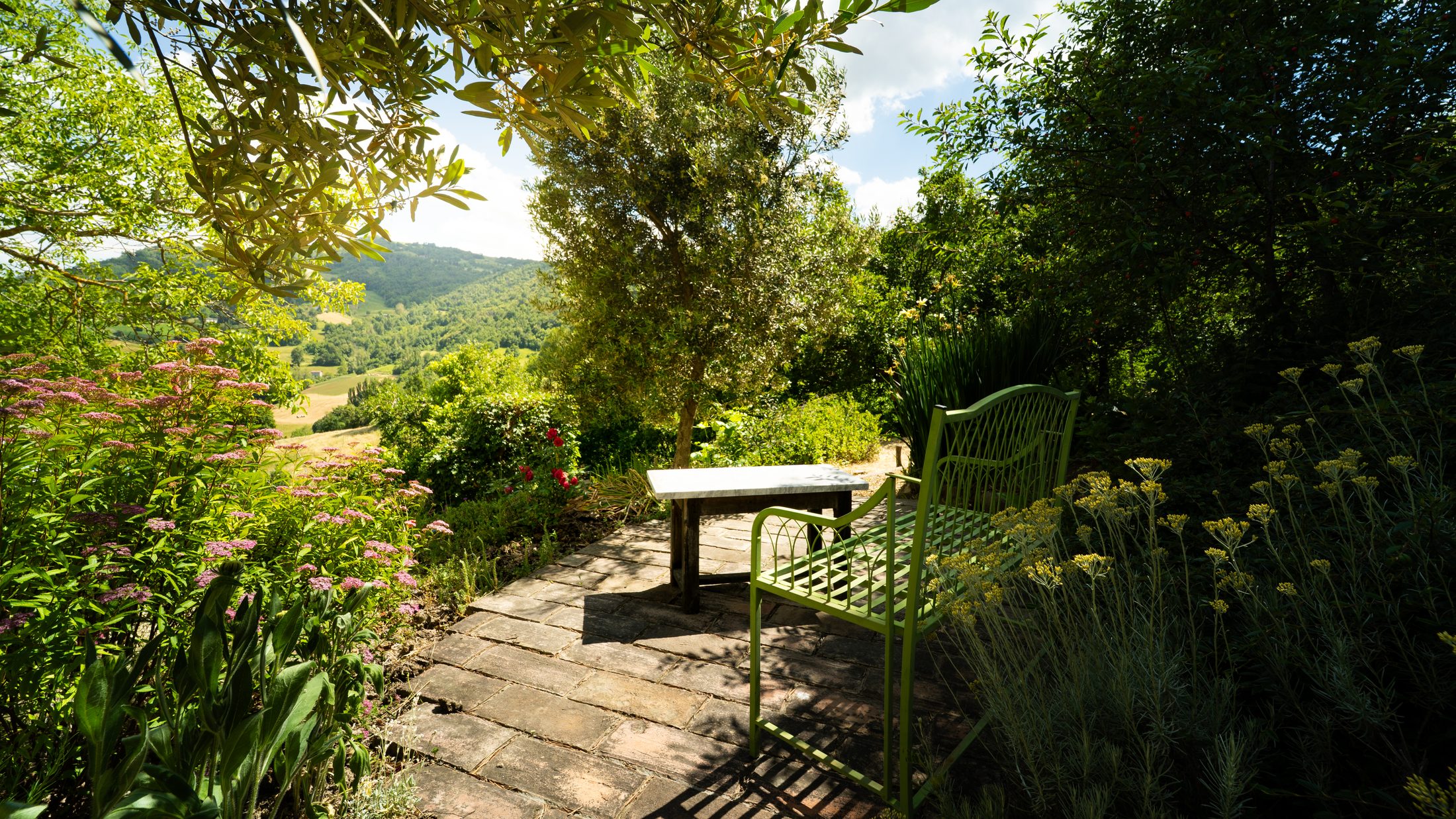 A bench and table tucked beneath an olive tree, looking over the valley