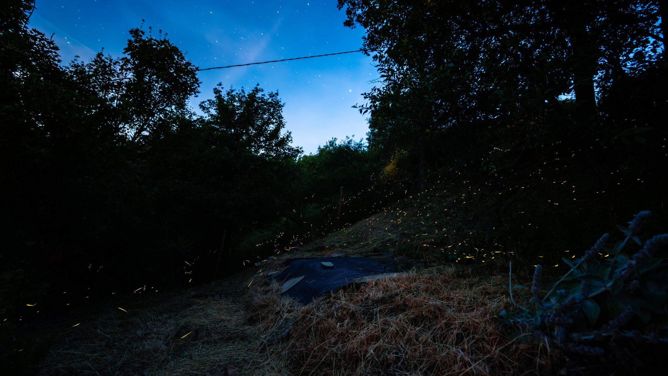 A table set for dinner beneath the trees, overlooking the valley