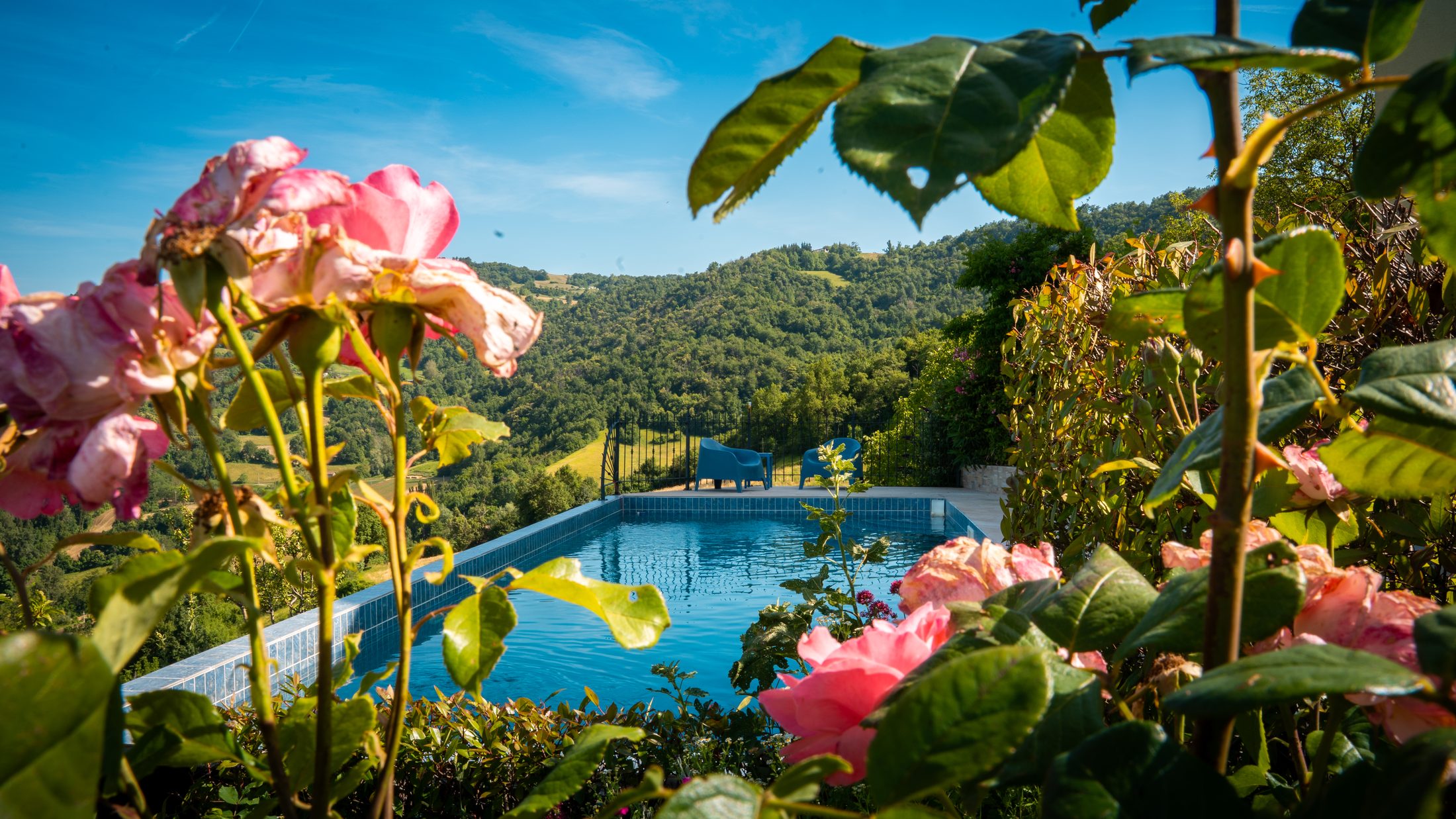 Roses framing the pool, with the valley and hills beyond